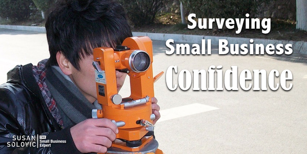 small business confidence survey